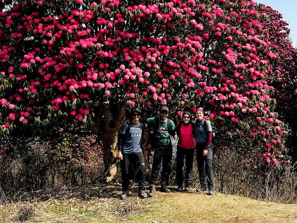 Flower Poonhill Trekking
