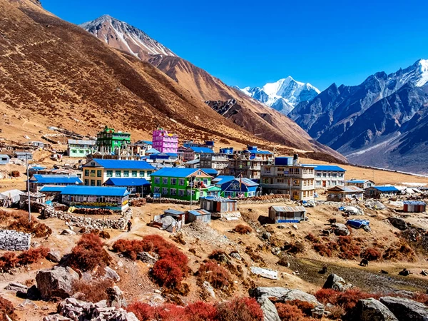 Langtang Village