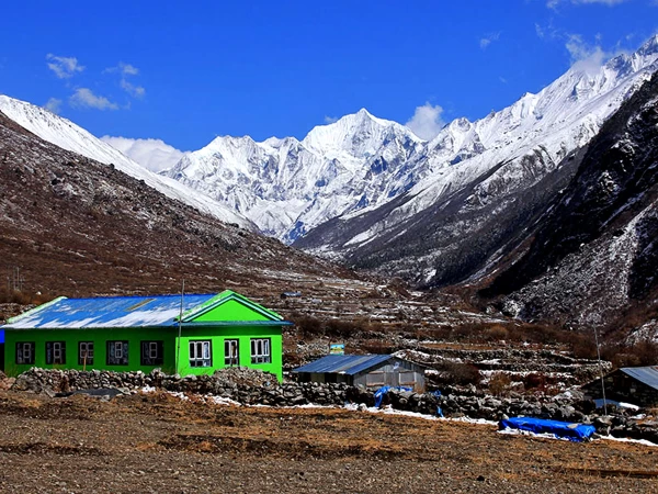 Tea House Mountain View