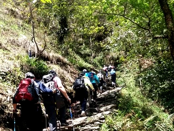 Way To Mardi Himal Trekking