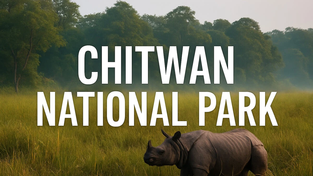 Chitwan National Park Video